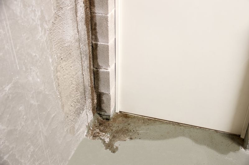 Basement Seepage Repair in Sarasota, FL